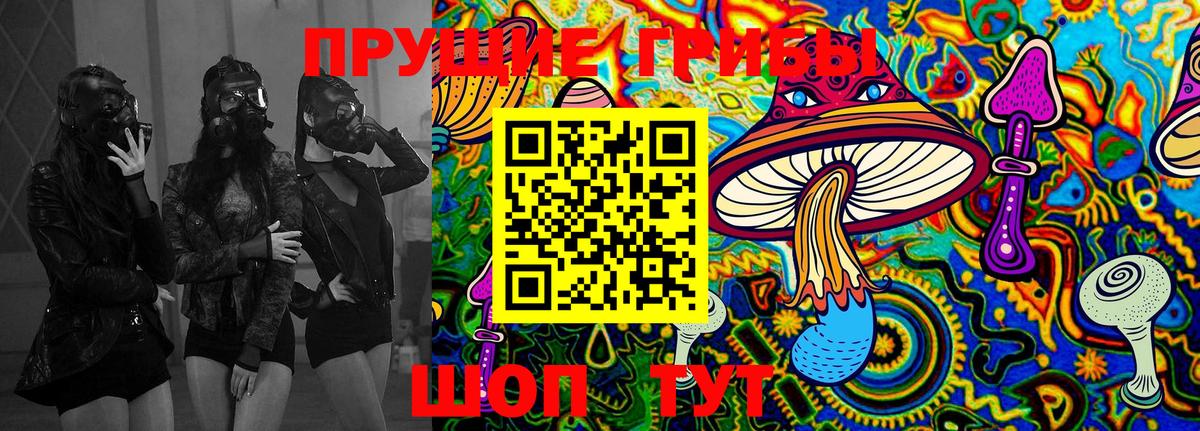 Псилоцибиновые грибы MAGIC MUSHROOMS Мурманск