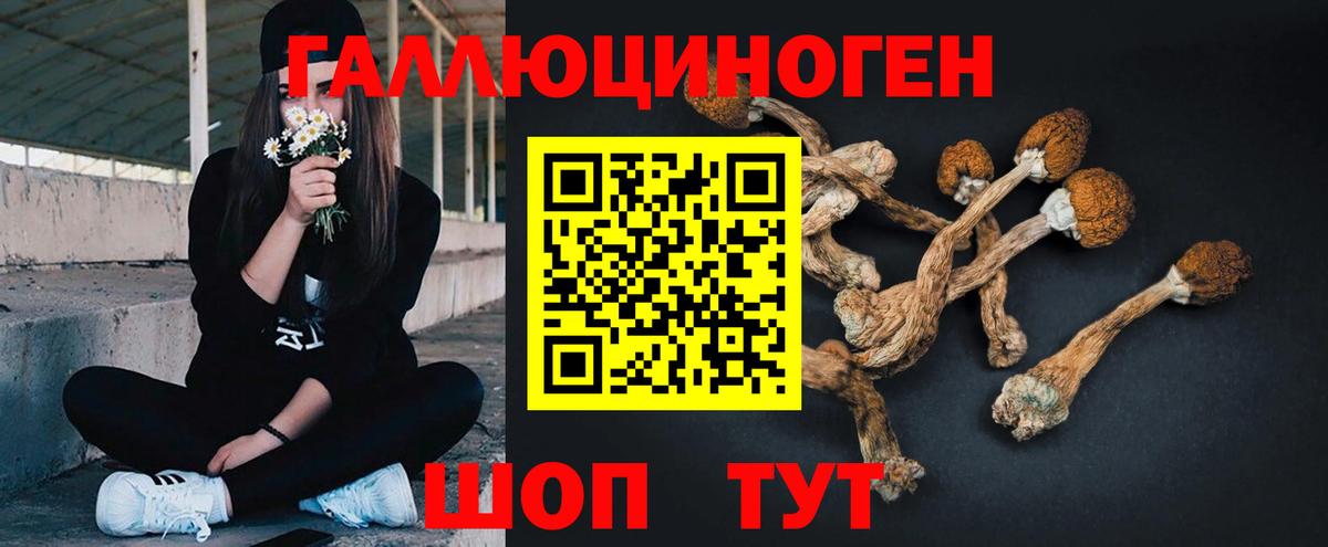 купить наркотики цена  Вход с VPN  Мурманск  Псилоцибиновые грибы мухоморы  Псилоцибиновые грибы ЛСД 